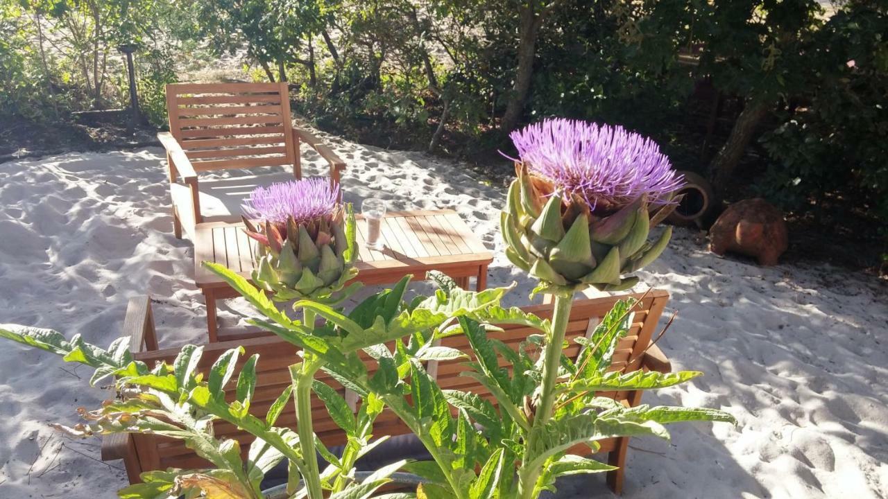 Bed and Breakfast Le Relais de la Praya à Lège-Cap-Ferret Extérieur photo